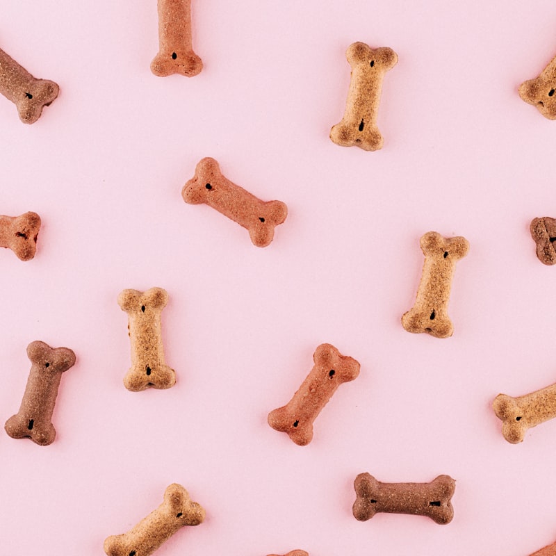 Dog Paw Balm - Natural Moisturizer