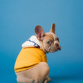 Dog Boots - Waterproof 4 Pack